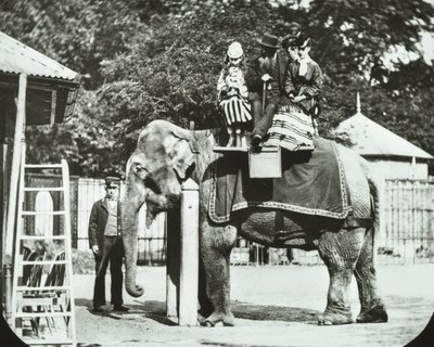 Giardini Zoologici, Regents Park: elefante con adulti e bambini in sella, Zoo di Londra, 1894 da English Photographer