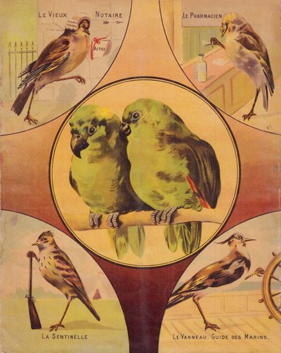 4a di copertina: coppia di uccelli e altri uccelli, inglese da English School