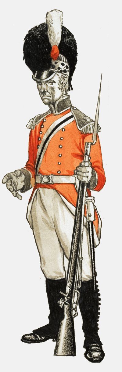 92nd. Hon. Artillery Co. Infantry Div. Private 1803 da English School