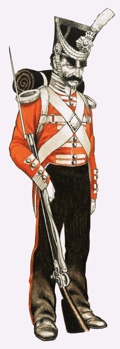 96° Fanteria Privato 1836 da English School