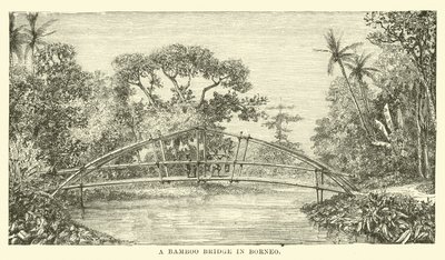 Un Ponte di Bambù nel Borneo da English School