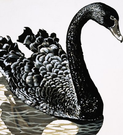 Un cigno nero da English School