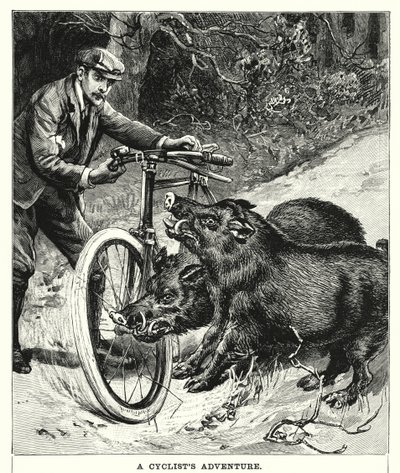 Avventura di un Ciclista (incisione) da English School