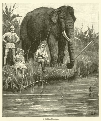 Un Elefante Pescatore da English School
