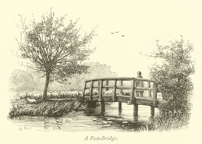 Un ponte pedonale da English School