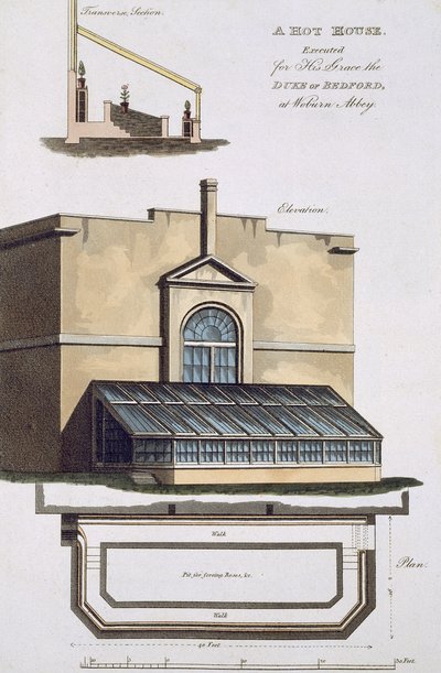Una serra calda eseguita per Sua Grazia il Duca di Bedford a Woburn Abbey, 1806 da English School