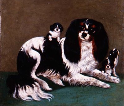 Una famiglia di Spaniel King Charles, Scuola Provinciale da English School