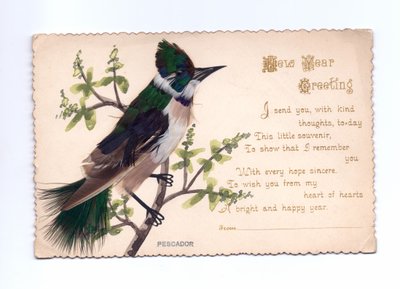 Biglietto di auguri di Capodanno con un martin pescatore fatto di piume montato su un albero dipinto a mano, circa 1900 da English School