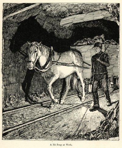 Un pony da miniera al lavoro da English School