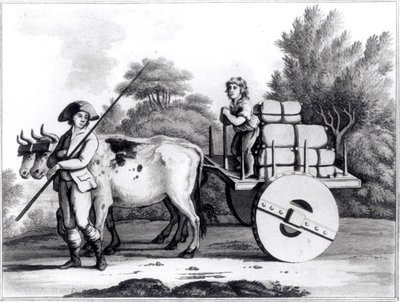 Una fattoria portoghese, da Una visione generale dello stato del Portogallo di James Murphy, pubblicato nel 1797 da English School