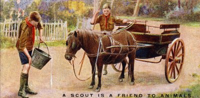 Uno Scout è Amico degli Animali, 1929 da English School