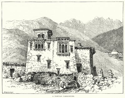 Una fattoria tibetana da English School