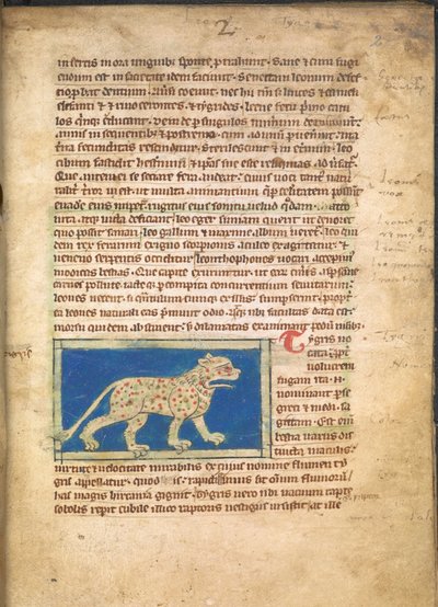 Una tigre, da Sloane 3544, f.2 da English School