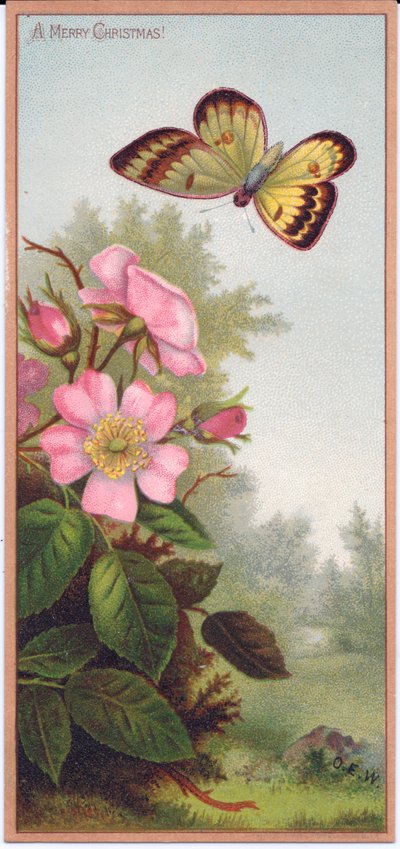 Una cartolina di Natale vittoriana che raffigura una farfalla e un cespuglio di rose canine, c.1880 da English School