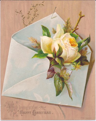 Cartolina di Natale vittoriana che raffigura una busta con una rosa che sporge, c.1880 da English School