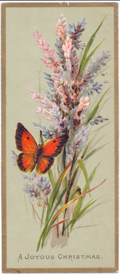 Cartolina di Natale vittoriana con una farfalla tra erbe alte, c.1880 da English School
