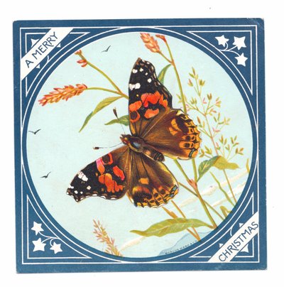 Una Cartolina di Natale Vittoriana di una Farfalla Dipinta, c.1880 da English School