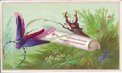 Biglietto di Natale vittoriano con un insetto, cervo volante e un messaggio di Natale, circa 1880 da English School