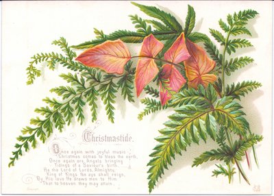 Cartolina di Natale Vittoriana con un Mazzo di Felci, c.1880 da English School