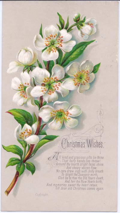 Una cartolina di Natale vittoriana con un mazzo di rose di Natale e un verso, c.1880 da English School