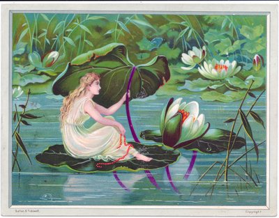 Cartolina di auguri vittoriana di una fata che naviga su un ruscello su una foglia di loto con una foglia di giglio come baldacchino, c.1880 da English School