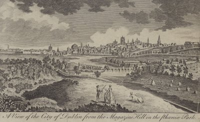 Veduta della città di Dublino dalla Collina del Magazine nel Phoenix Park da English School