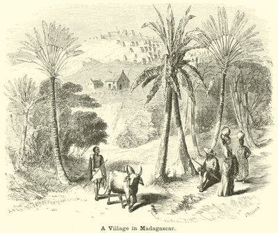 Un villaggio in Madagascar da English School