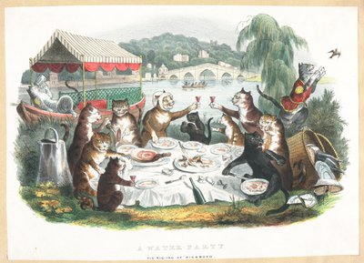 Una festa sull