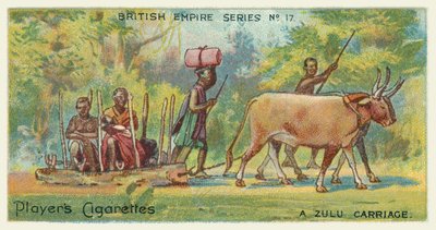 Un carro zulu da English School
