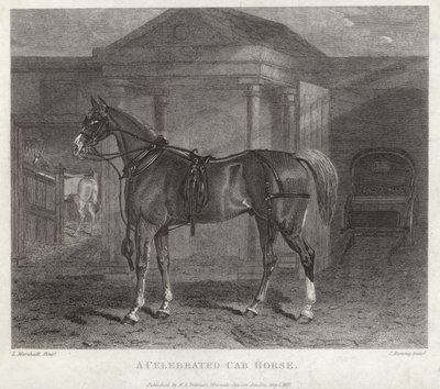 Un cavallo da carrozza celebre da English School