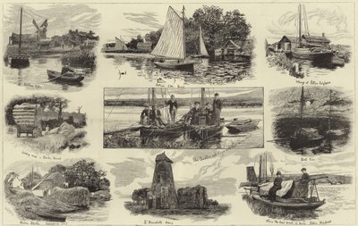 Una crociera sui Norfolk Broads da English School