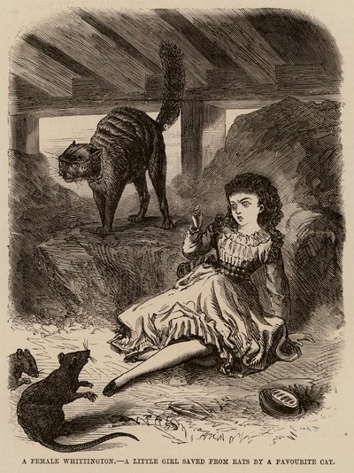 Una femmina Whittington, una bambina salvata dai topi da un gatto preferito da English School