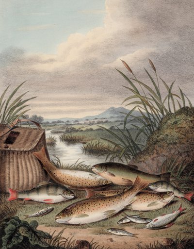 Una buona giornata di pesca da English School