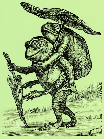Un marito gentile, illustrazione da Coles Funny Picture Book da English School