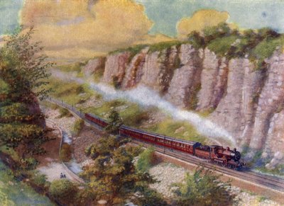 Un lungo treno passeggeri (litografia) da English School