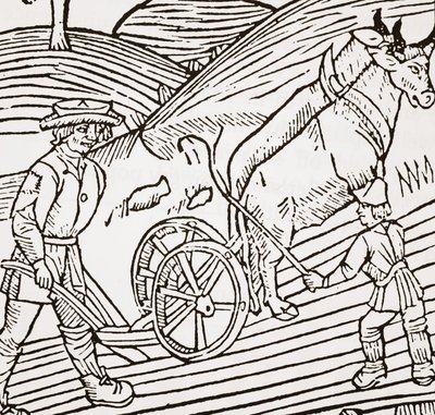 Una coppia di buoi attaccati a un aratro, frontespizio dal Boke of Husbandry di John Fitzherbert, prima pub. 1523 da English School