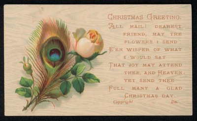 Una piuma di pavone e una rosa, biglietto di auguri di Natale da English School