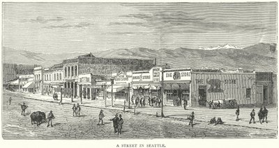 Una strada di Seattle (incisione) da English School