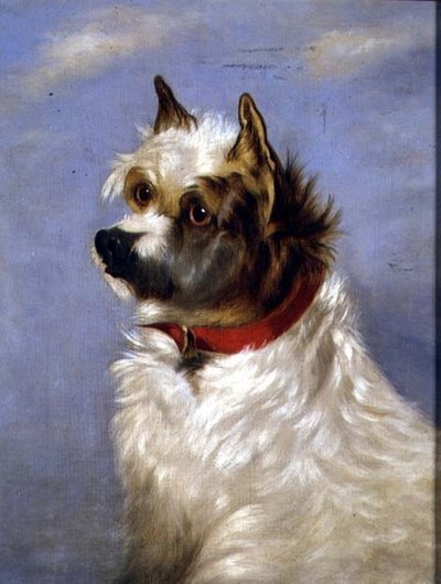 Un terrier con un collare rosso da English School