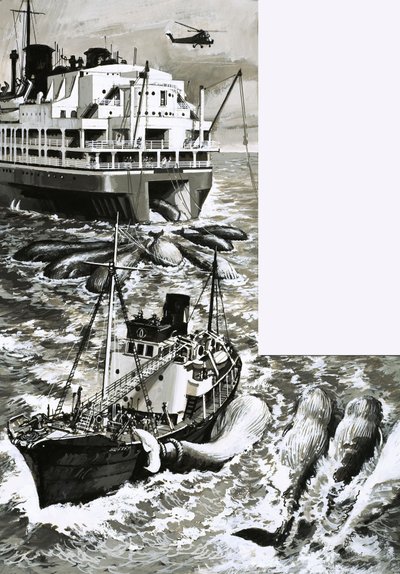Una nave fabbrica per la caccia alle balene da English School