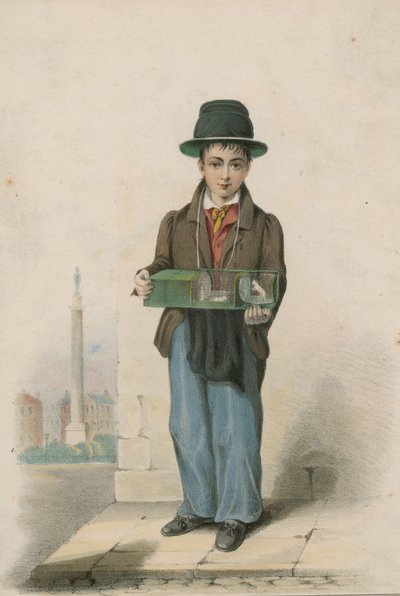 Un ragazzo che tiene una gabbia con topi bianchi da English School