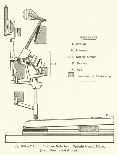 Azione di una nota in un pianoforte a coda verticale, John Broadwood and Sons da English School
