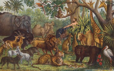 Adamo che nomina gli animali da English School