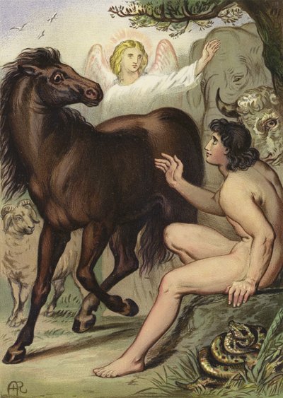 Adamo nomina gli animali da English School