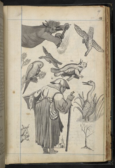 Illustrazione da 