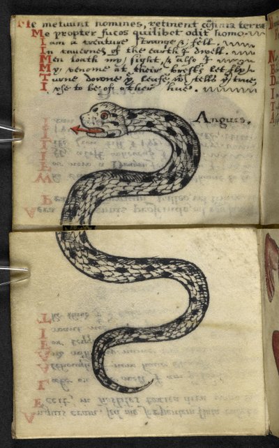 Add MS 57312 f.4 Libro di caccia da English School