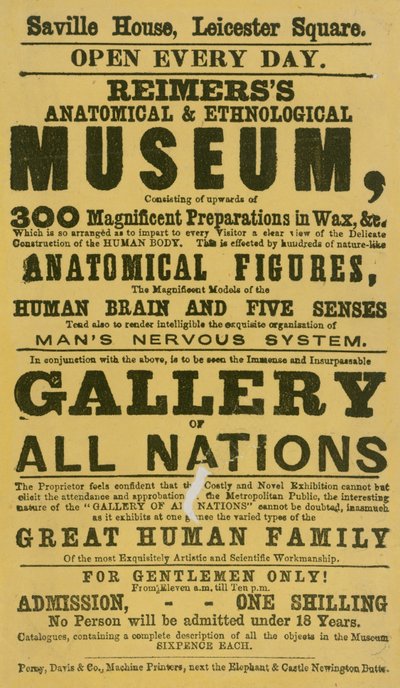 Pubblicità per il Museo Anatomico ed Etnologico di Reimers da English School