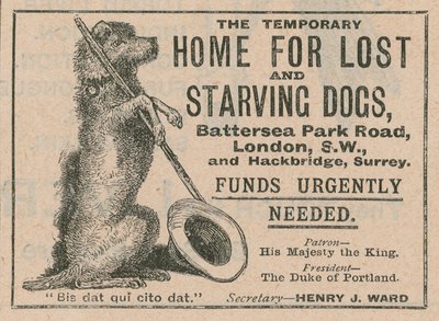 Pubblicità per Battersea Dogs Home da English School