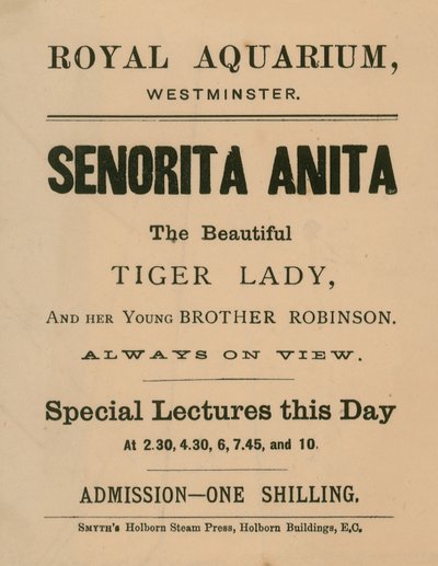 Pubblicità per Senorita Anita da English School