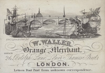 Pubblicità per W Waller, commerciante di arance, Londra da English School